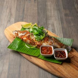 ALL_dining_25G04_OdZP2ISSqS