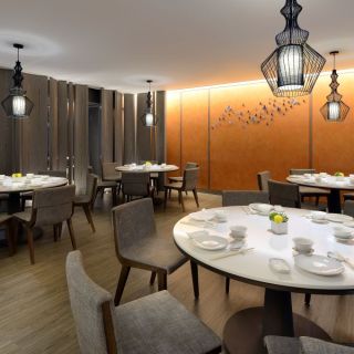 ALL_dining_25I01_eFrdWMcUpA