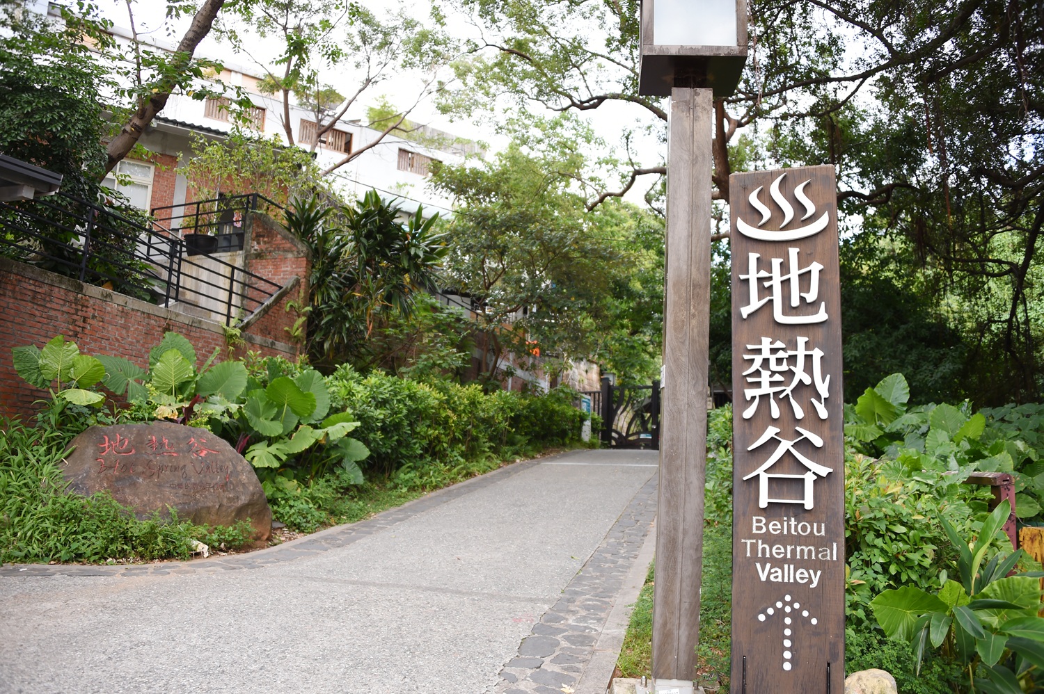 ALL_spot_26A19_pkOgkanpcq